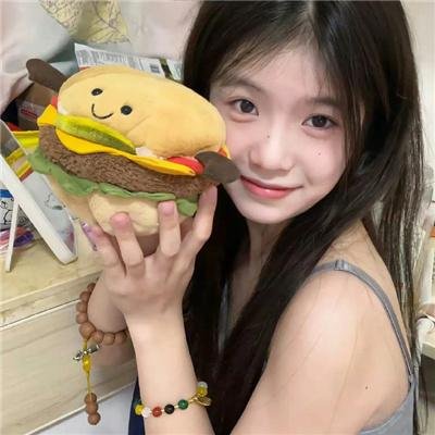 啼笑姻缘(上集)